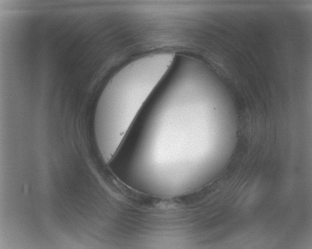 X0000055510742200508120755