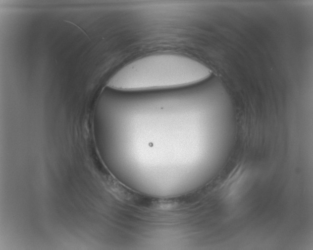 X0000055510746200508120755