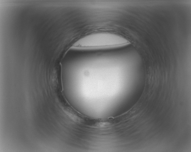 X0000055510748200508120755