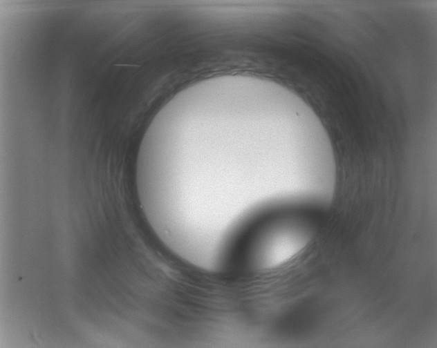 X0000055510750200508120755