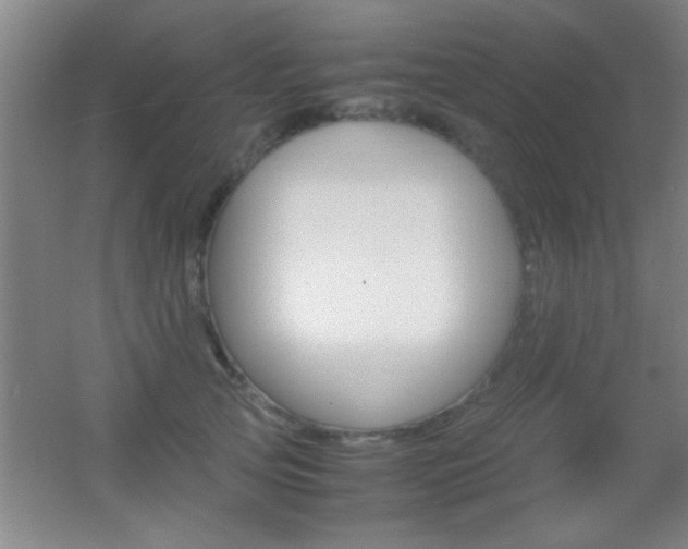 X0000055510753200508120755