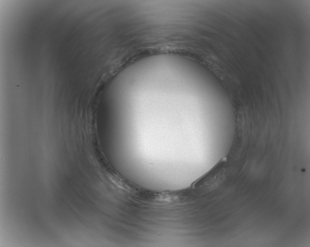 X0000055510760200508120755