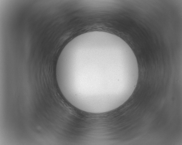 X0000055510762200508120755