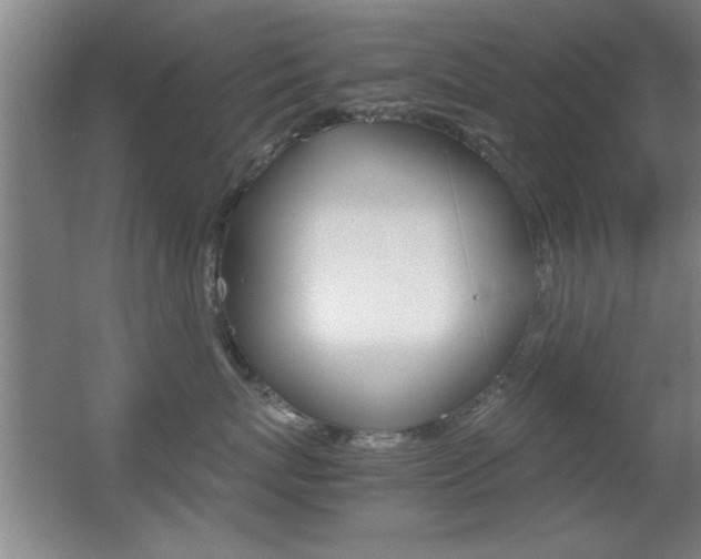 X0000055510767200508120755