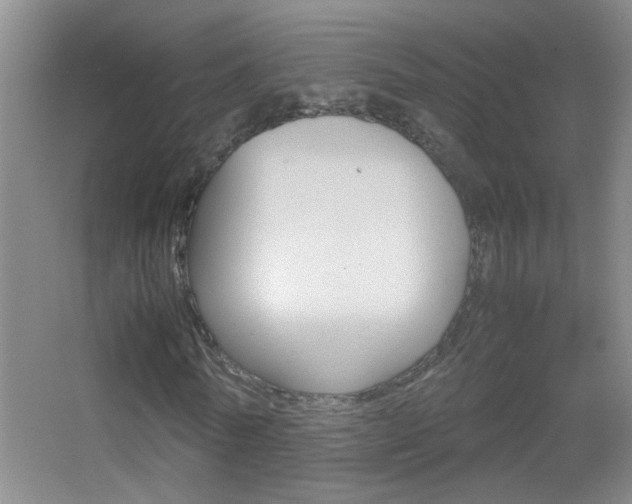 X0000055510770200508120755
