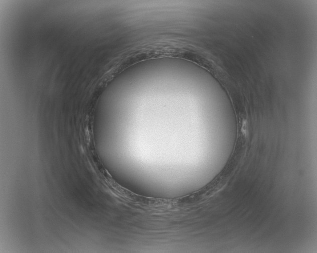 X0000055510771200508120755