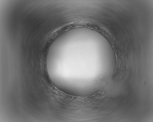 X0000055510773200508120755
