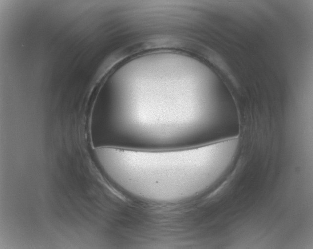 X0000055510786200508120754