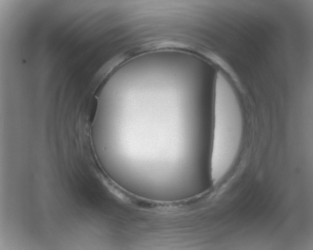 X0000055510793200508120754