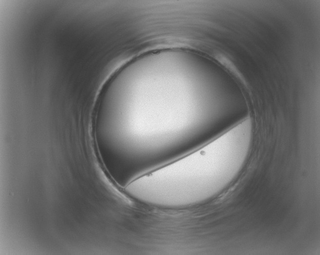 X0000055510797200508120754