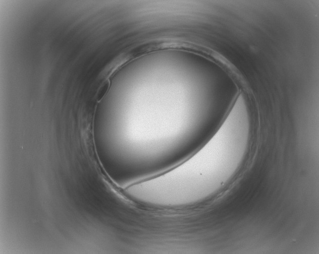 X0000055510801200508120754