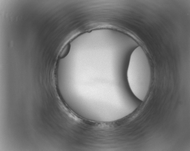 X0000055510806200508120754