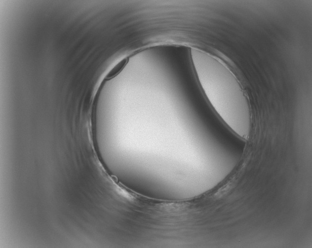X0000055510812200508120754