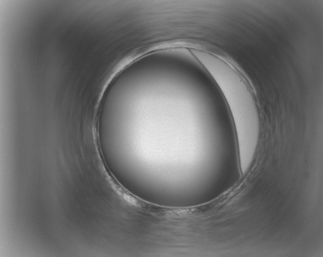 X0000055510813200508120754