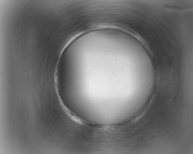 X0000055510814200508120754