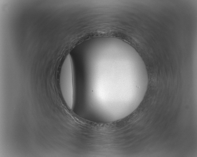 X0000055510817200508120753