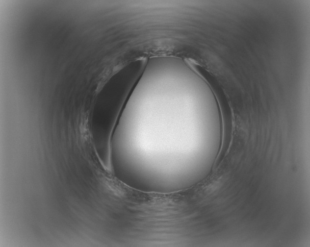 X0000055510818200508120753