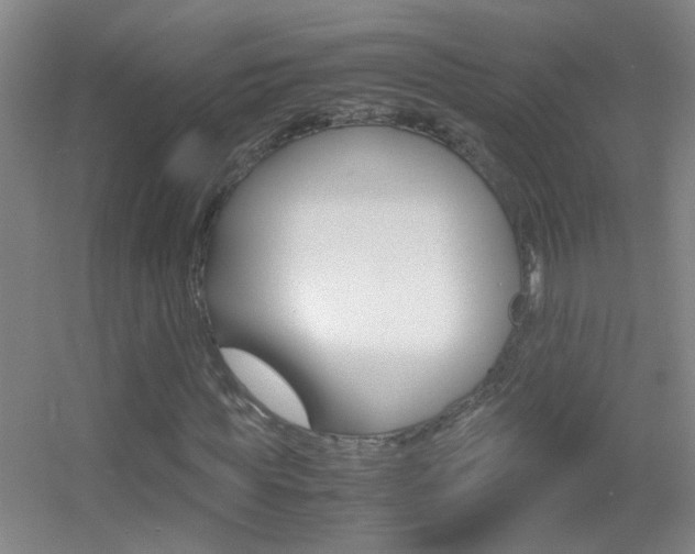 X0000055510819200508120753