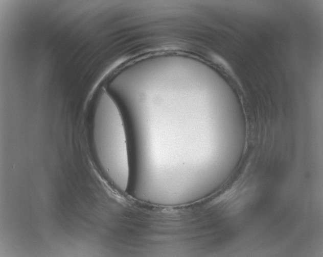 X0000055510827200508120753