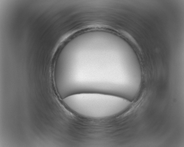X0000055510831200508120753