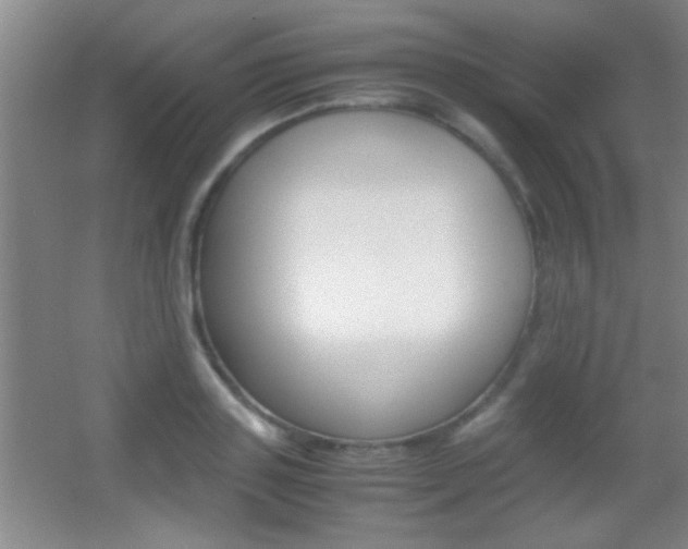 X0000055510843200508120753