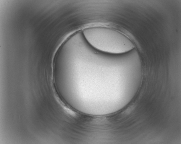 X0000055510844200508120753