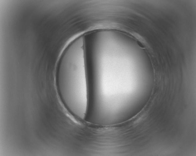 X0000055510846200508120753