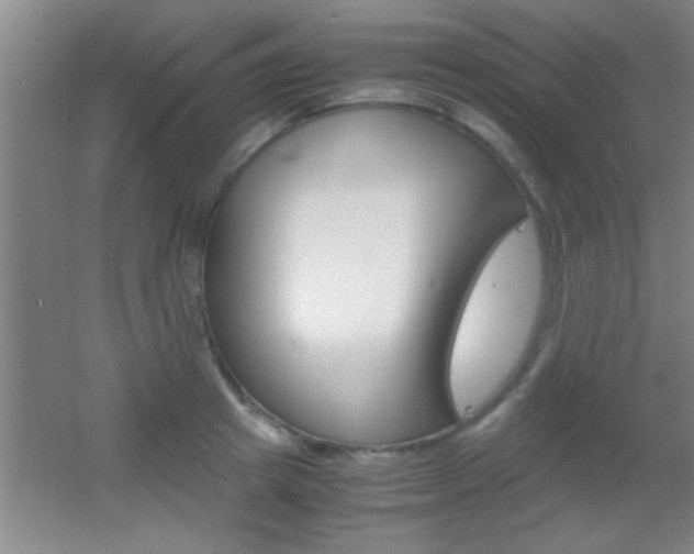X0000055510849200508120754