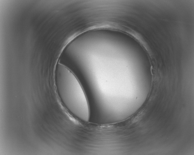 X0000055510858200508120754