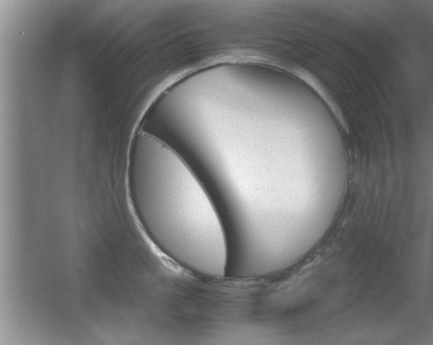 X0000055510861200508120754