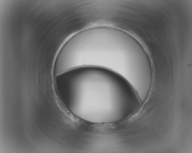 X0000055510864200508120754