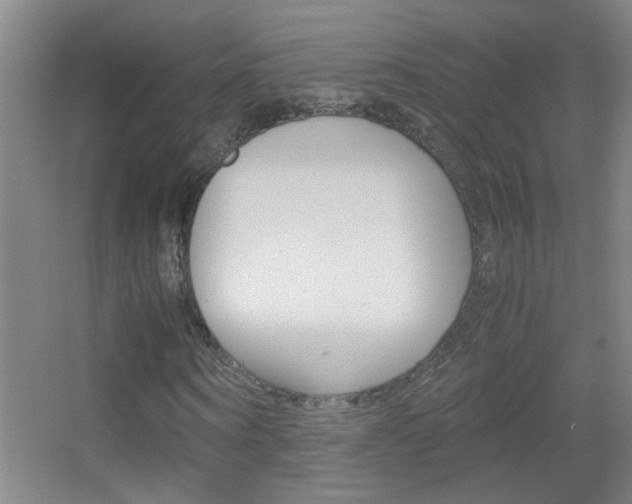 X0000055510866200508120753