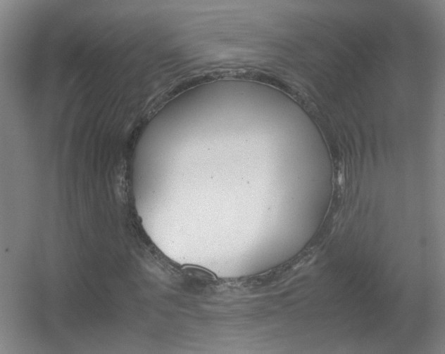 X0000055510867200508120753