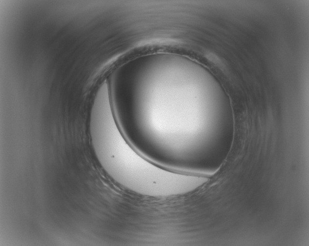 X0000055510872200508120753