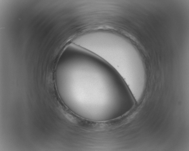 X0000055510881200508120753