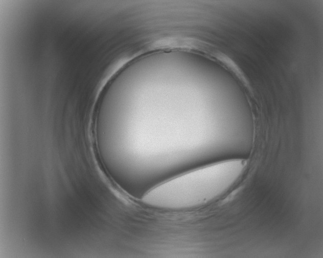 X0000055510893200508120752