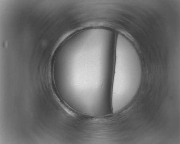 X0000055510894200508120752