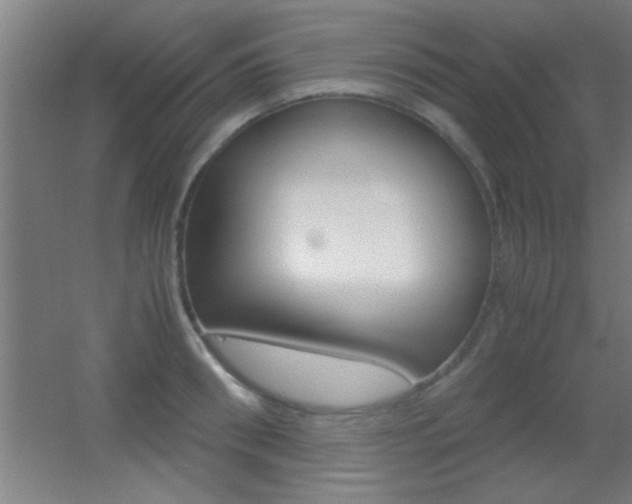 X0000055510898200508120752