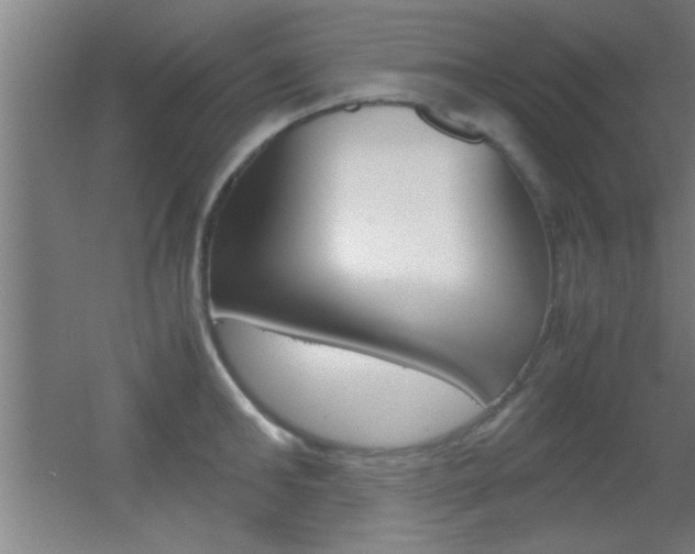 X0000055510902200508120752