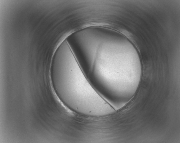 X0000055510906200508120752