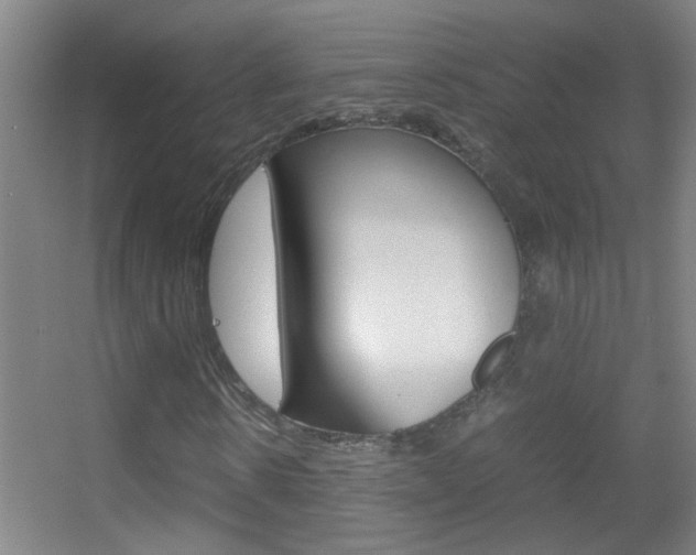 X0000055510914200508120751