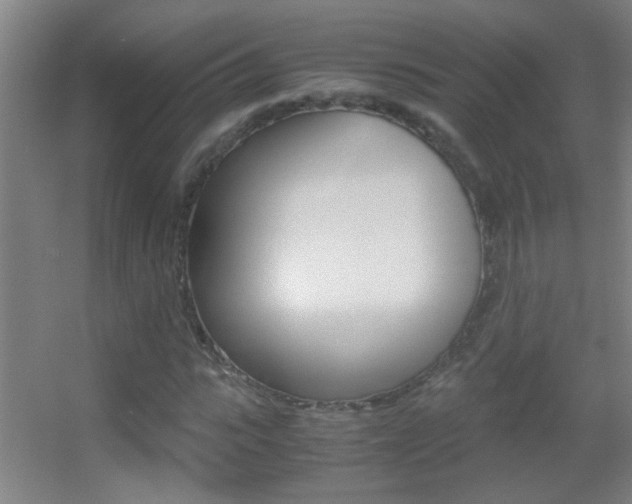 X0000055510919200508120751