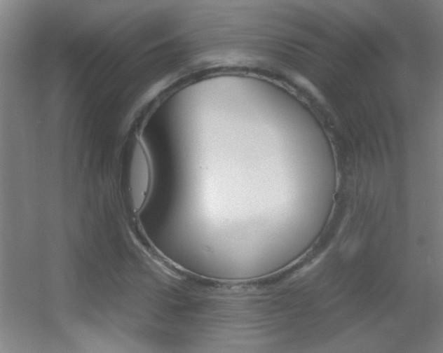 X0000055510922200508120751