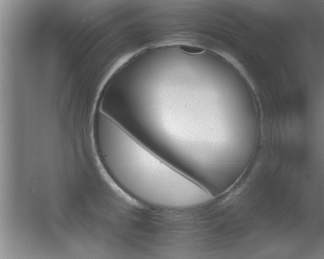 X0000055510949200508120752