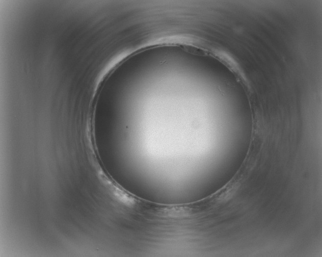 X0000055510952200508120752
