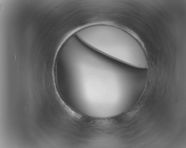 X0000055510959200508120752