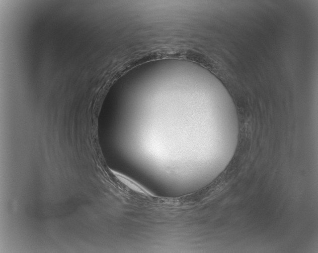 X0000055510961200508120751
