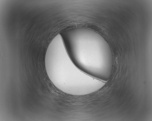 X0000055510963200508120751