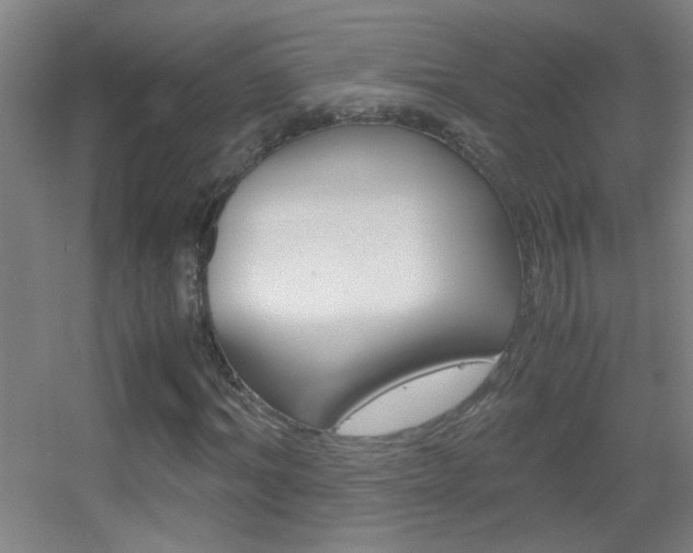 X0000055510964200508120751