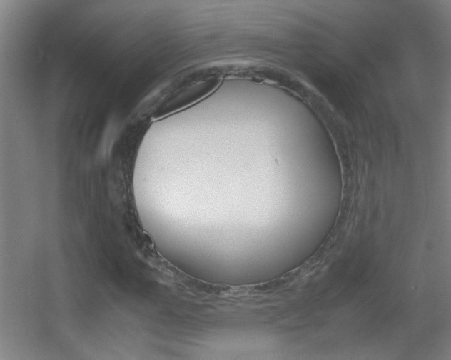 X0000055510967200508120751